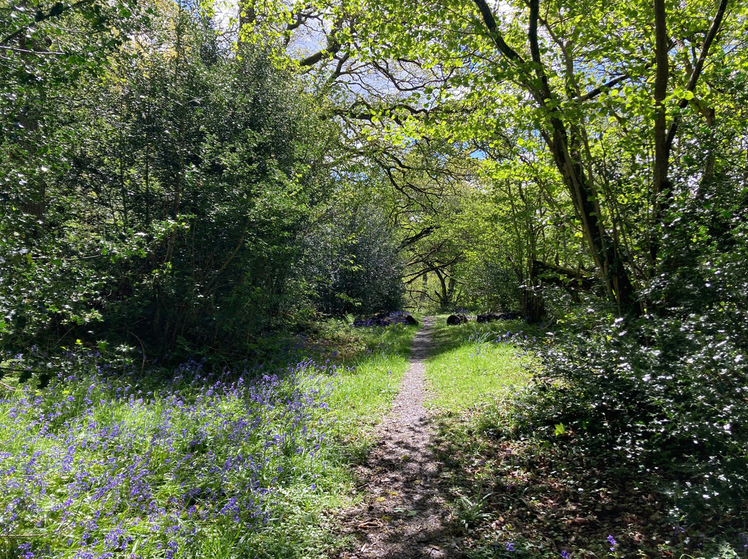 Anglesey And Wales Walking Holidays-Menai Bridge必去景点
