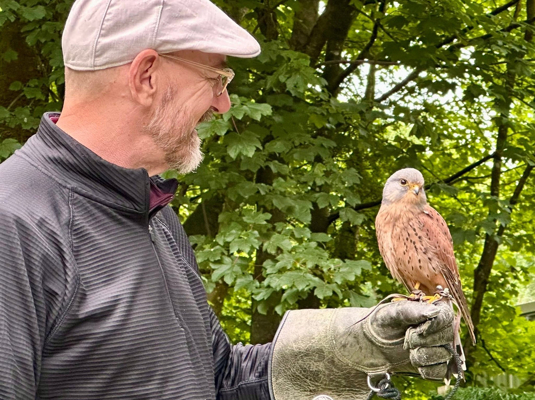 Loch Lomond Bird Of Prey Centre-Balloch必去景点
