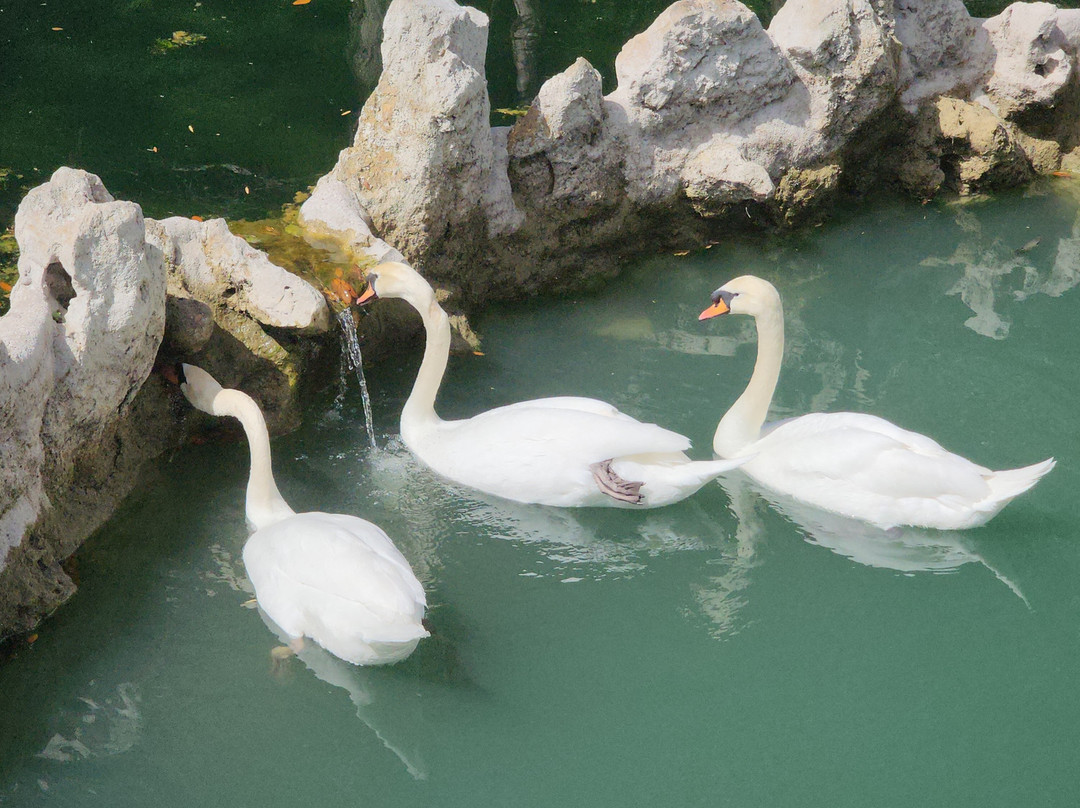 Cedar Lakes Woods & Gardens-Williston必去景点