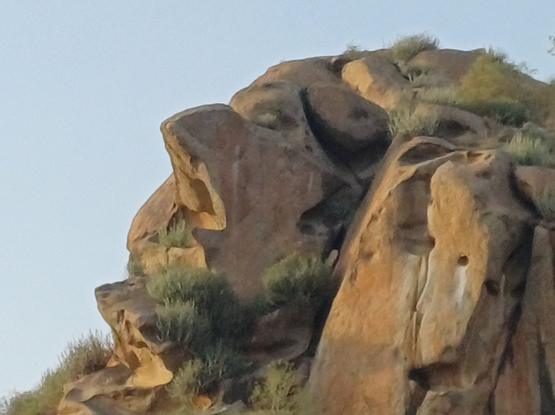 Jawai Balwant Vilas主图