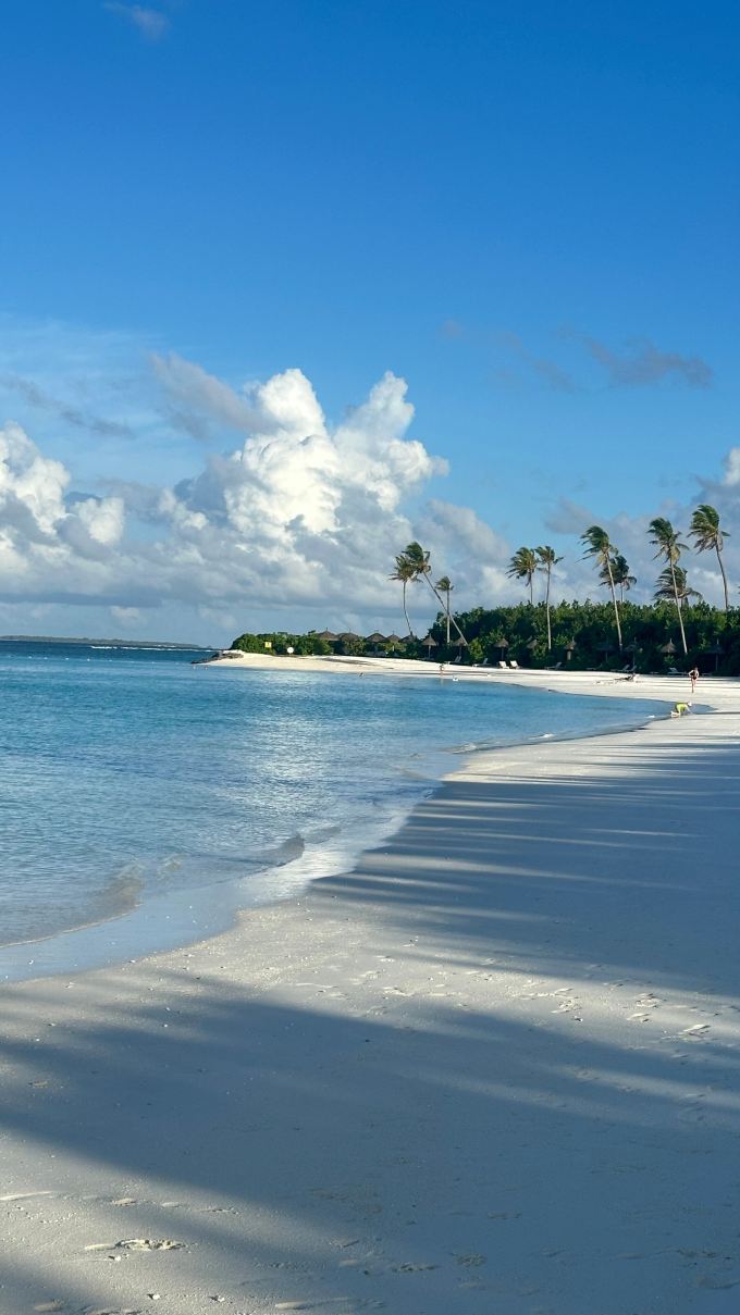 Joy Island Maldives by Cocoon Collection-旅行者