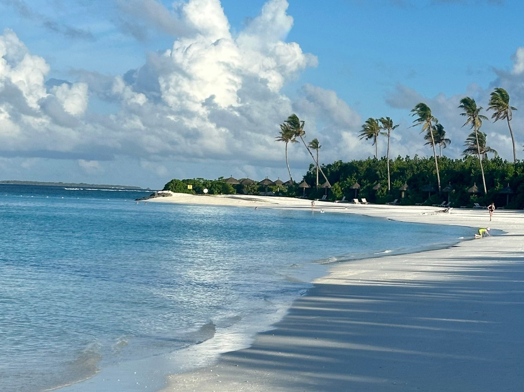 Joy Island Maldives by Cocoon Collection主图