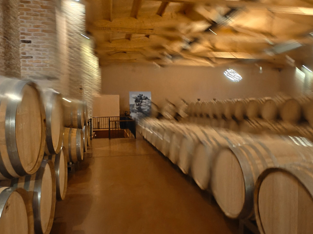 Emilio Moro Bodegas-Pesquera de Duero必去景点