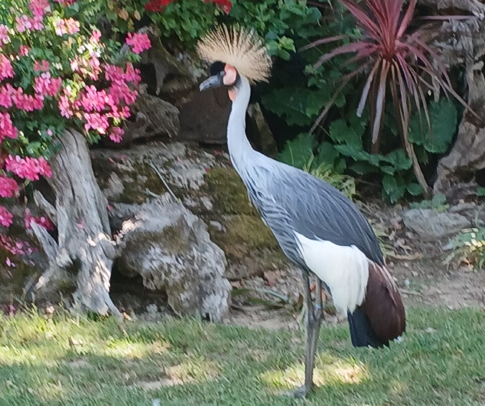 Parc tropical-Saint Jacut les Pins必去景点