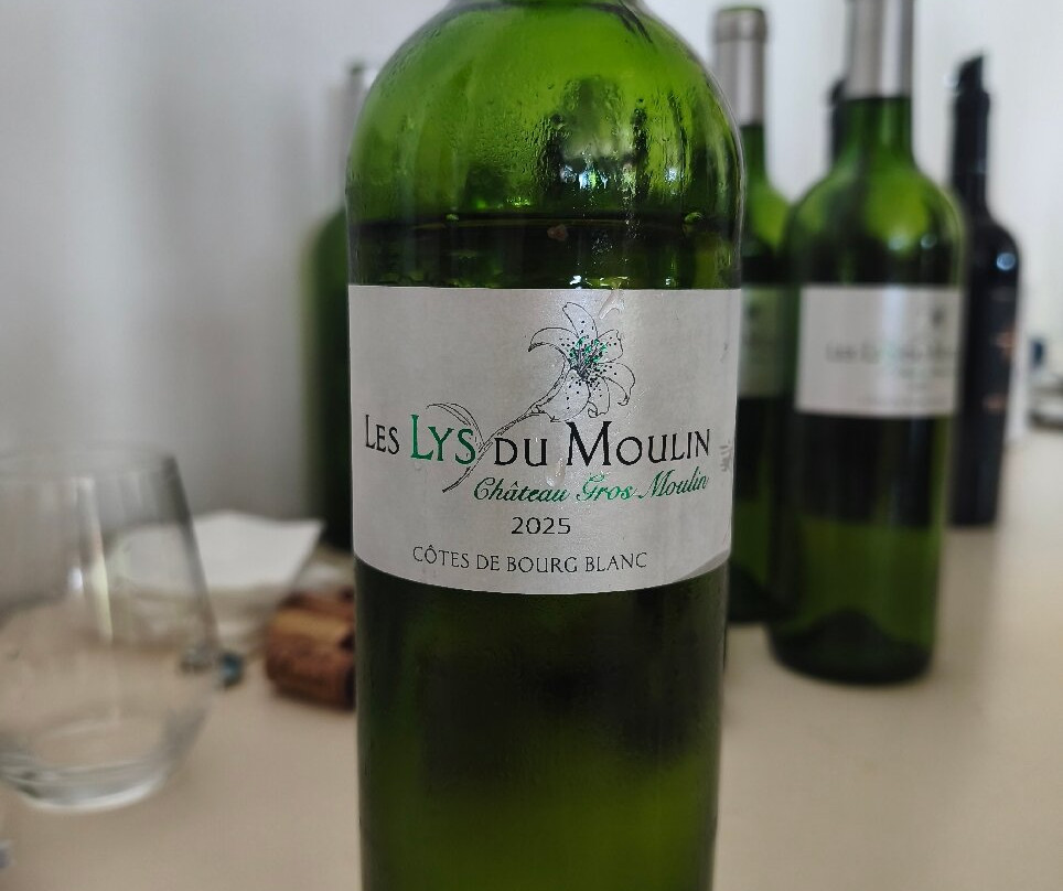 Maison des Vins des Côtes de Bourg-Bourg必去景点