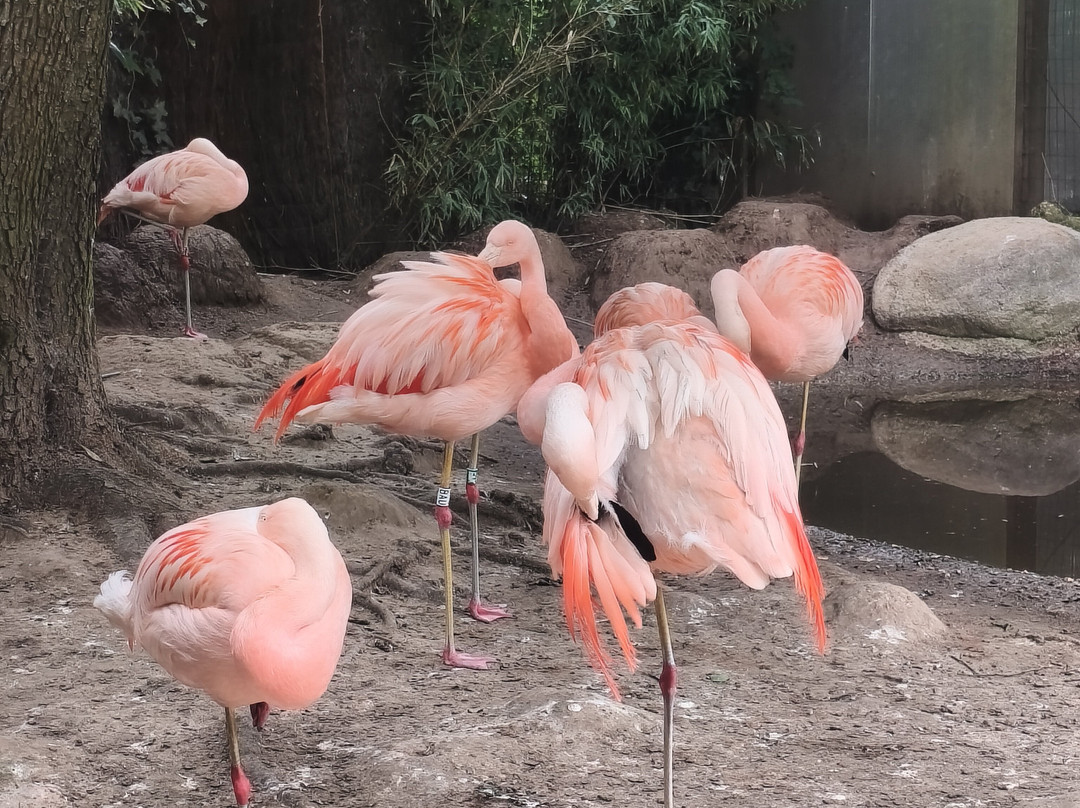 Zoo De Champrepus-Champrepus必去景点