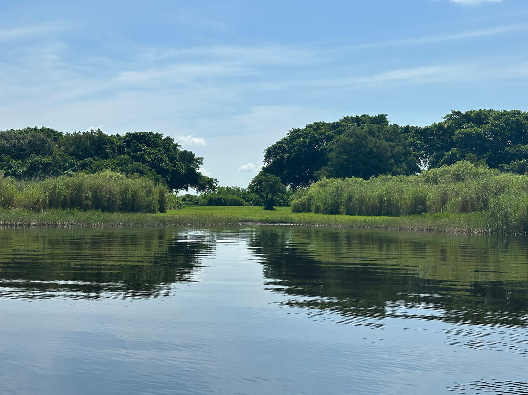 Master Gator Airboat Tours of Palm Beach County-西棕榈滩必去景点