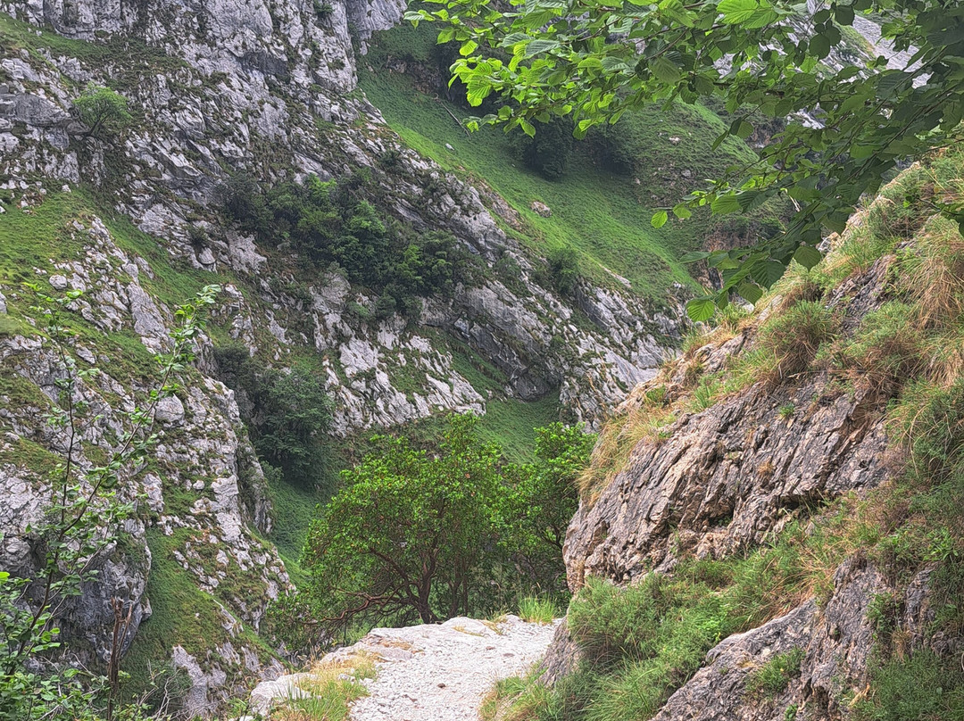Funicular de Bulnes-Poncebos必去景点
