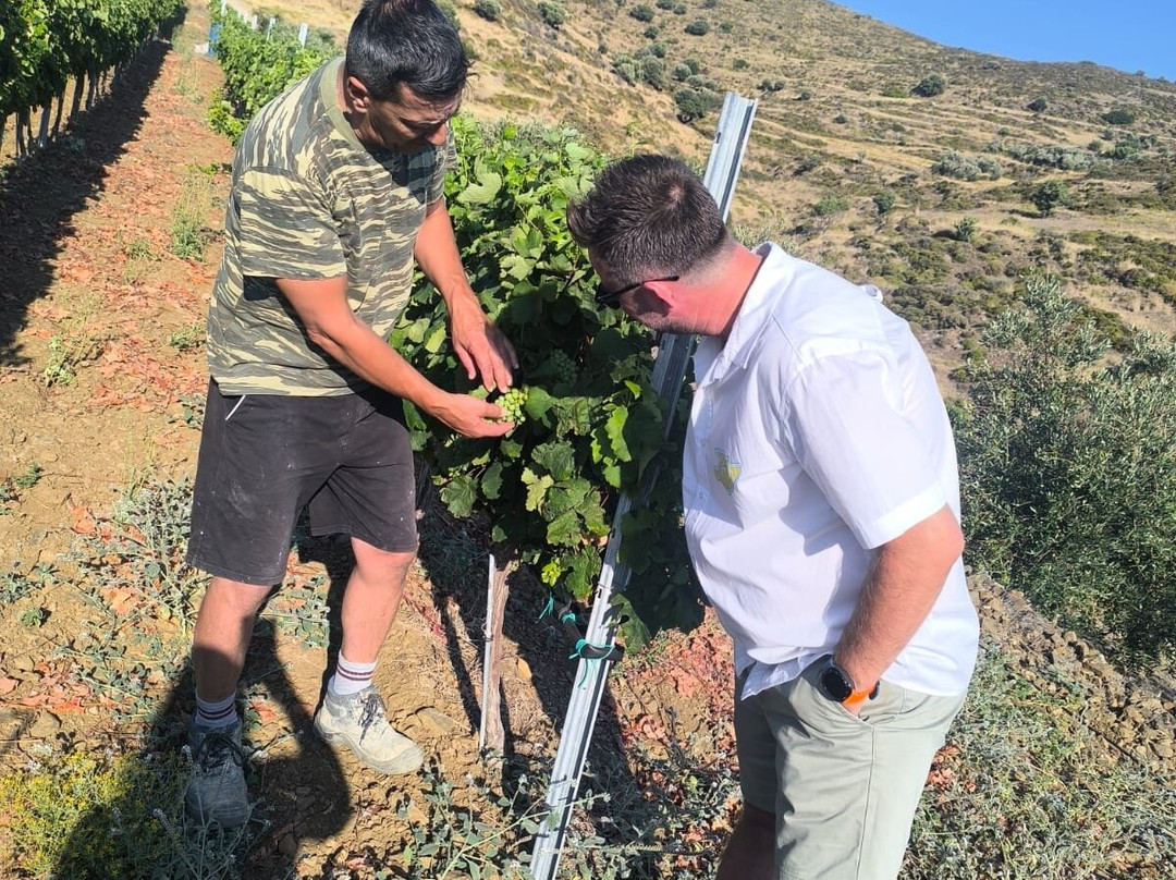 Hatzidakis Winery-Léros必去景点