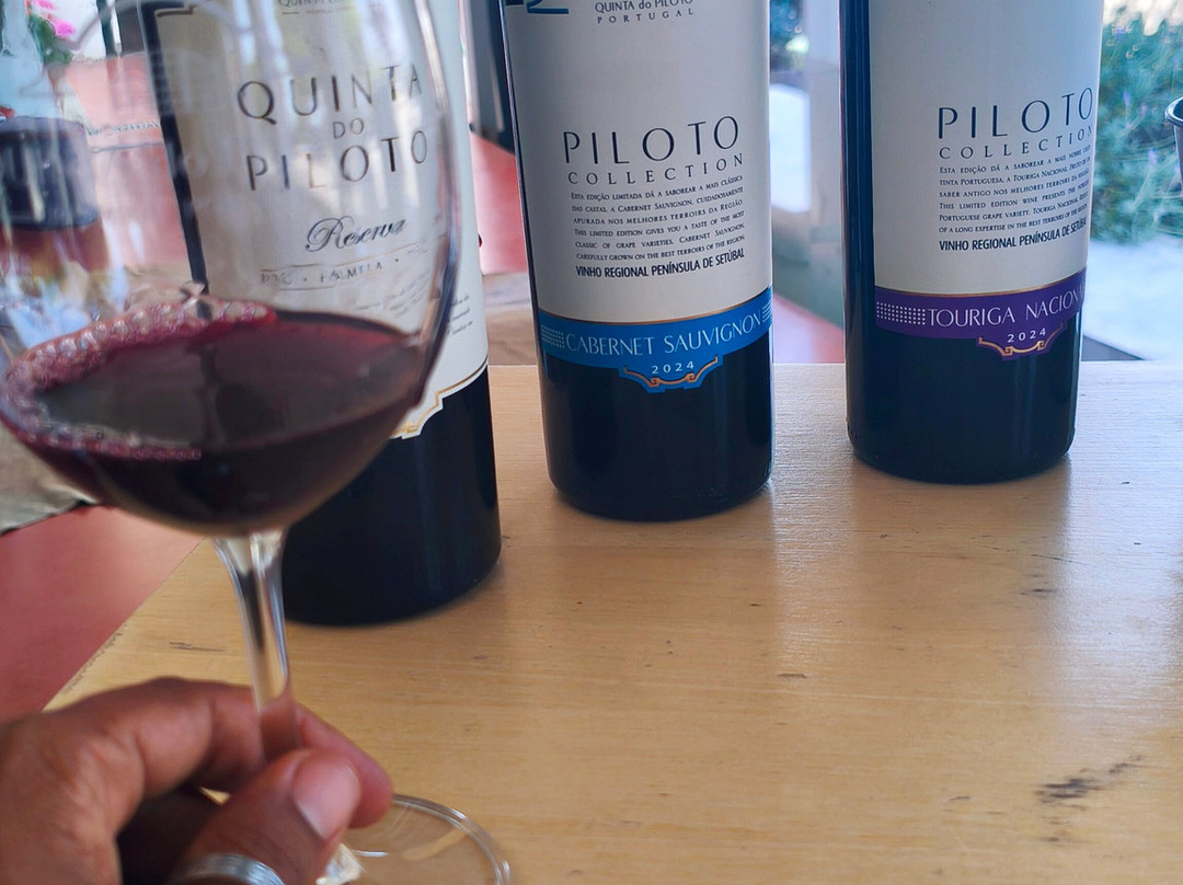 Quinta do Piloto-Palmela必去景点