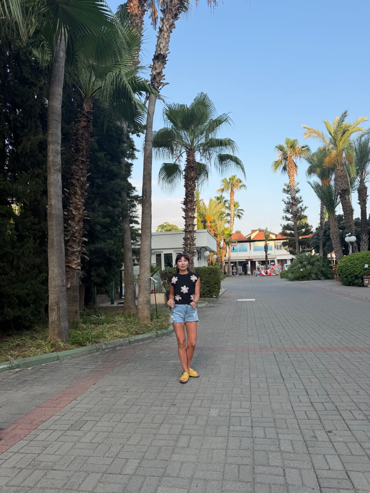 拉布拉达阿兰图酒店-旅行者