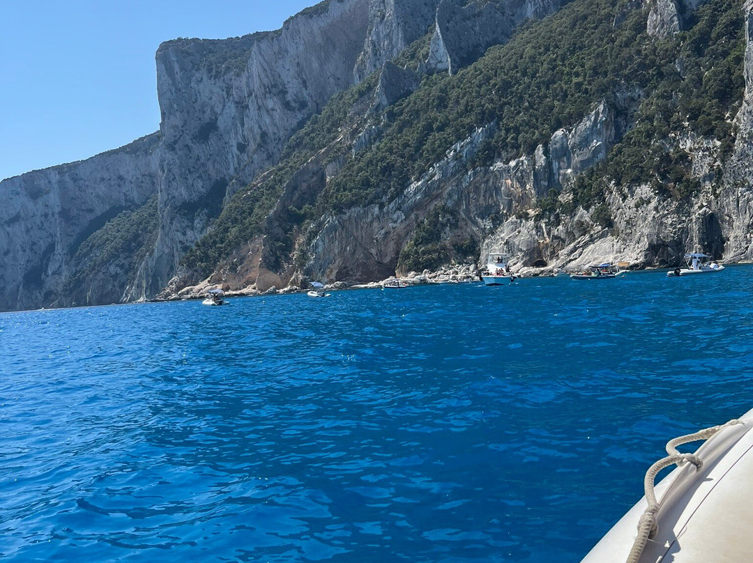 Blue Driving - Noleggio Gommoni ed escursioni nel Golfo di Orosei-奥罗塞必去景点