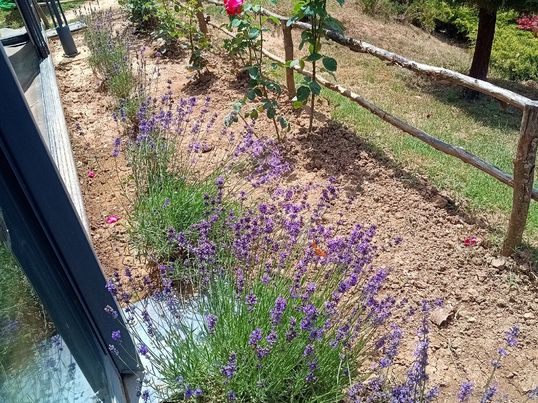 BEAR SANCTUARY Prishtina-普里什蒂纳必去景点