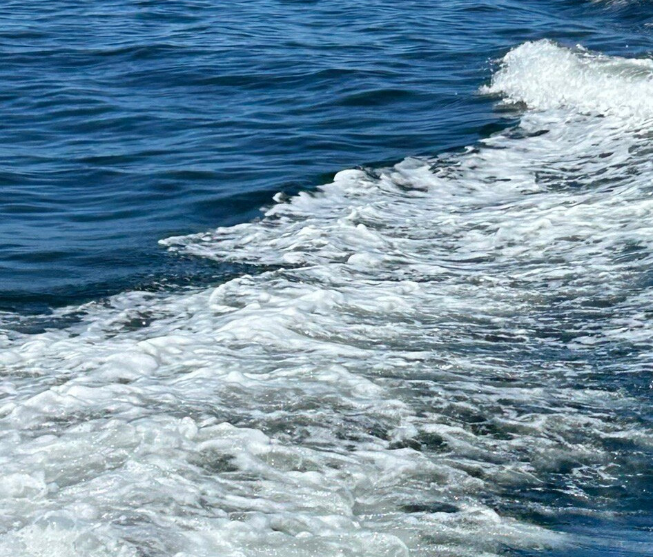 Badger Bay Boat Tours-Triton必去景点