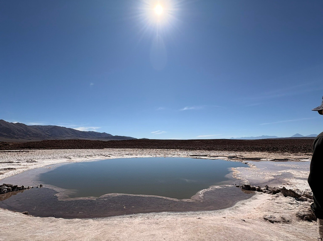 Lagunas Baltinache-圣佩德罗-德阿塔卡马必去景点