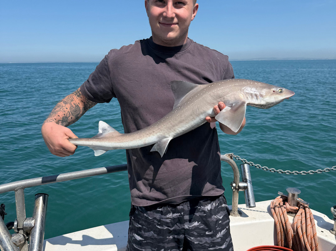 Sussex Sea Charters-West Itchenor必去景点