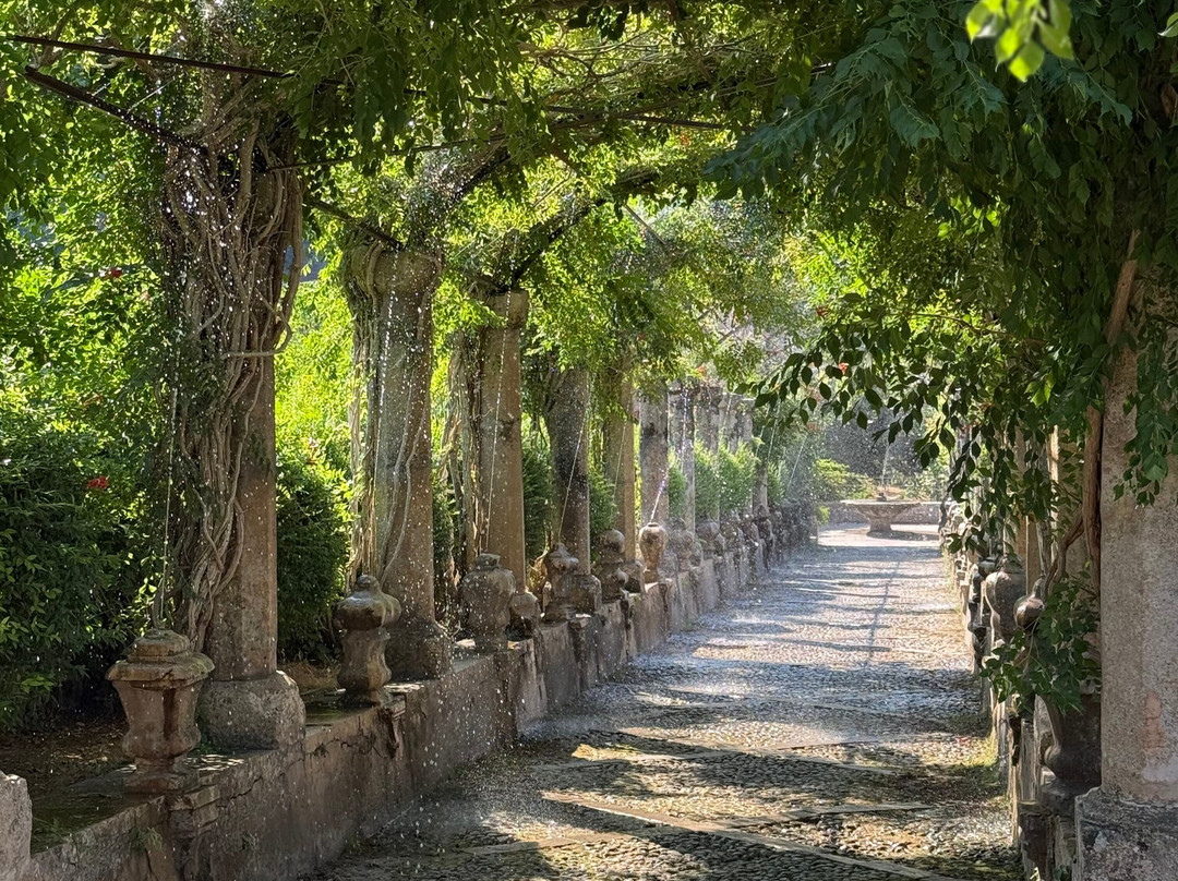 Jardines de Alfabia-Bunyola必去景点