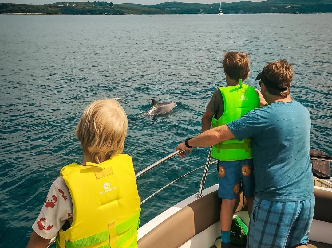 Dolphin Tours Istria-冯塔纳必去景点
