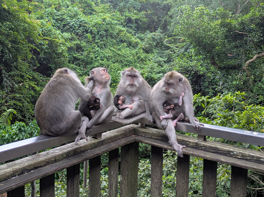 Tour Guide Bali-库塔必去景点