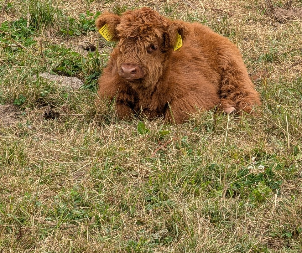 Dumble Farm Conservation-比弗利必去景点