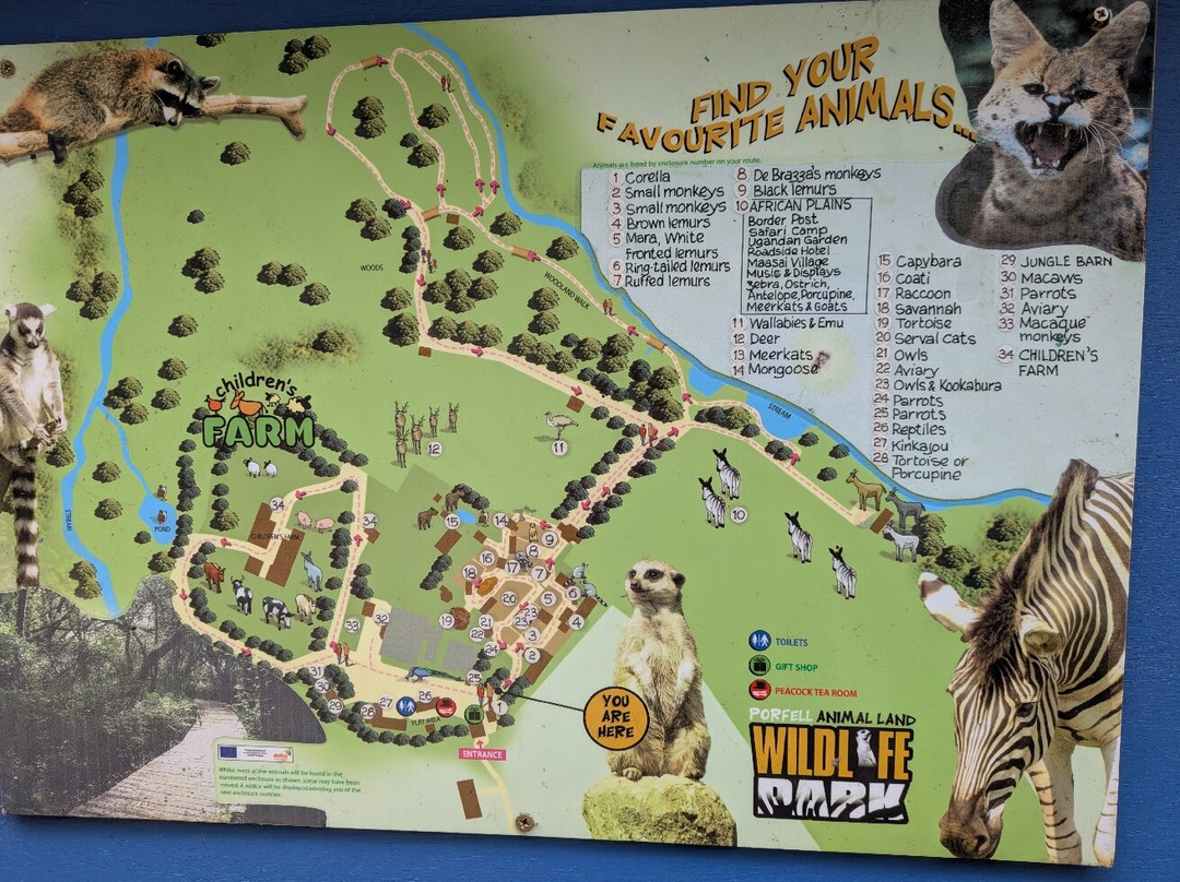 Porfell Wildlife Park & Sanctuary-利斯卡德必去景点