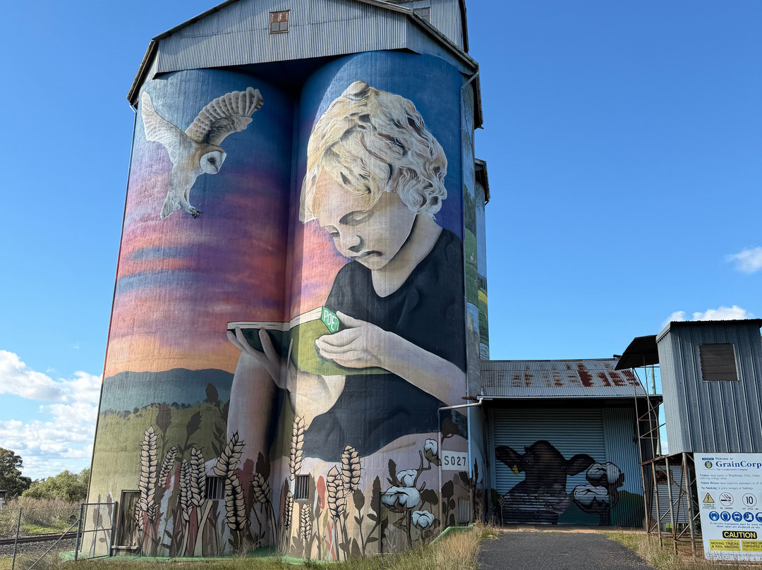 Silo Art Dunedoo-Dunedoo必去景点