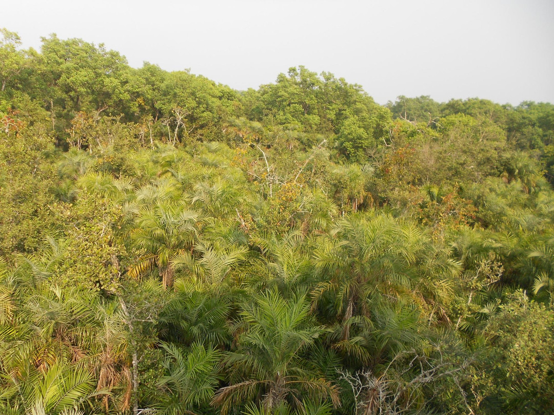 The Sundarbans-库尔纳县必去景点