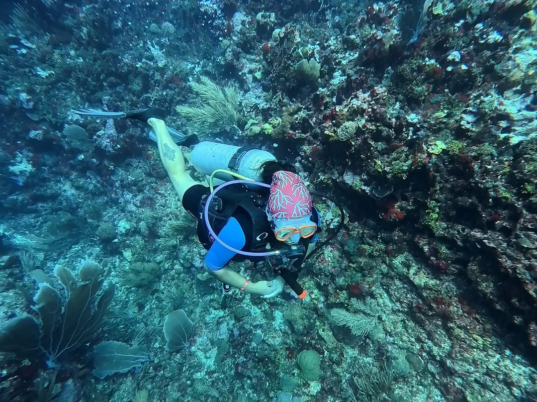 Nautilus Isla Fuerte-Isla Fuerte必去景点