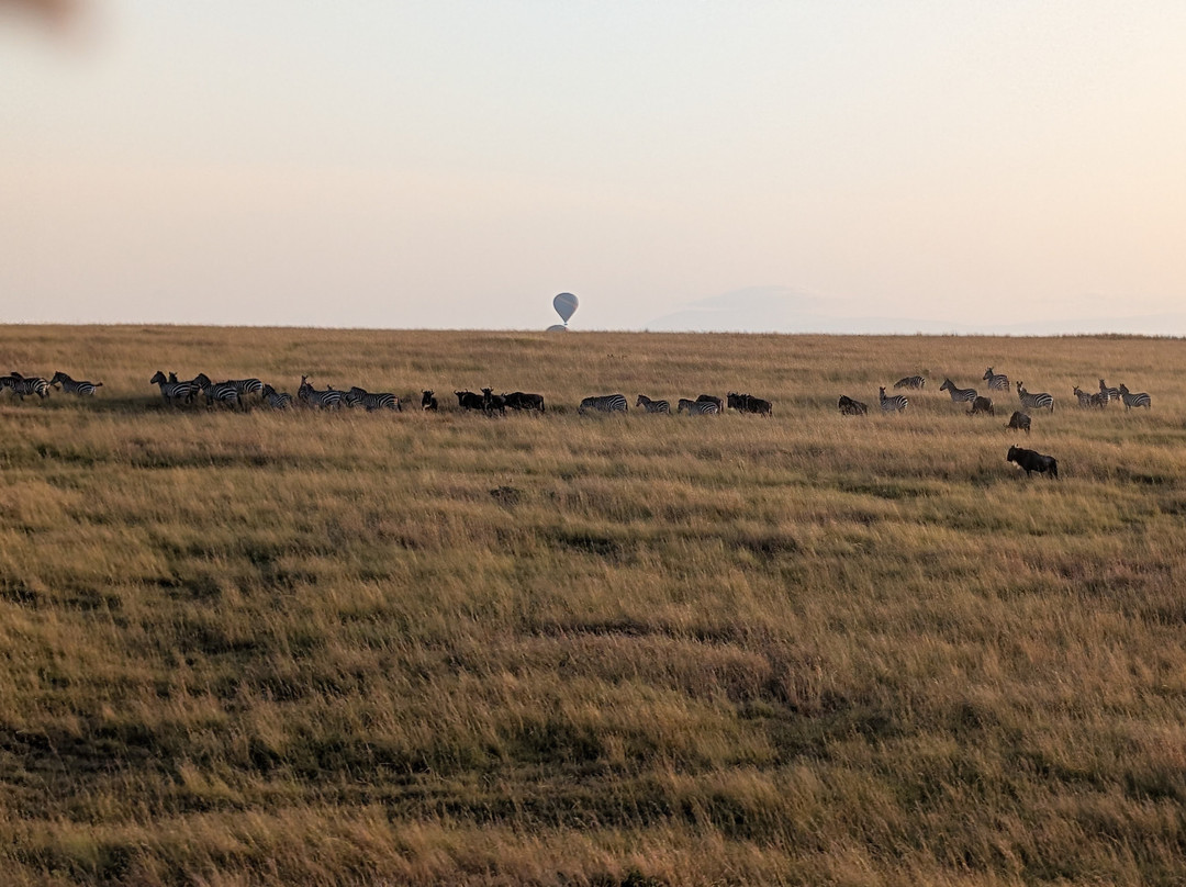 Hot Air Safaris-马赛马拉国家野生动物保护区必去景点