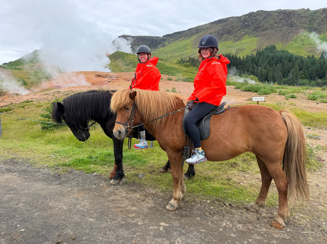 Eldhestar Volcano Horses-Olfus必去景点