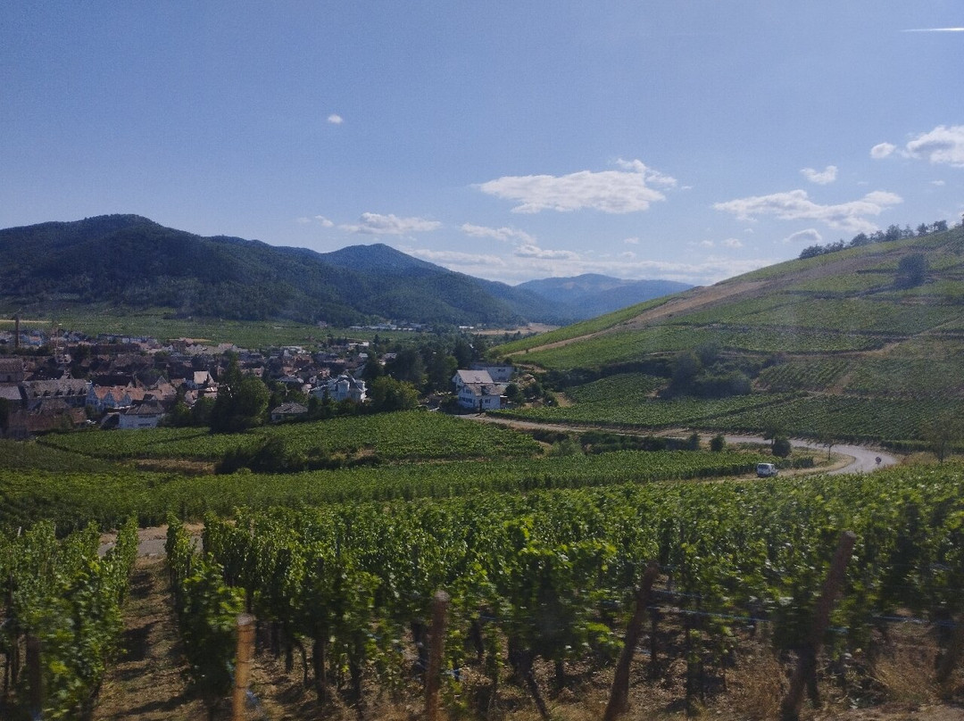 Route des Vins d'Alsace-科尔马必去景点