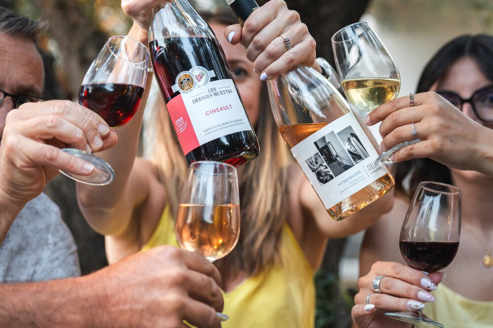 Vignobles Des 3 Châteaux
