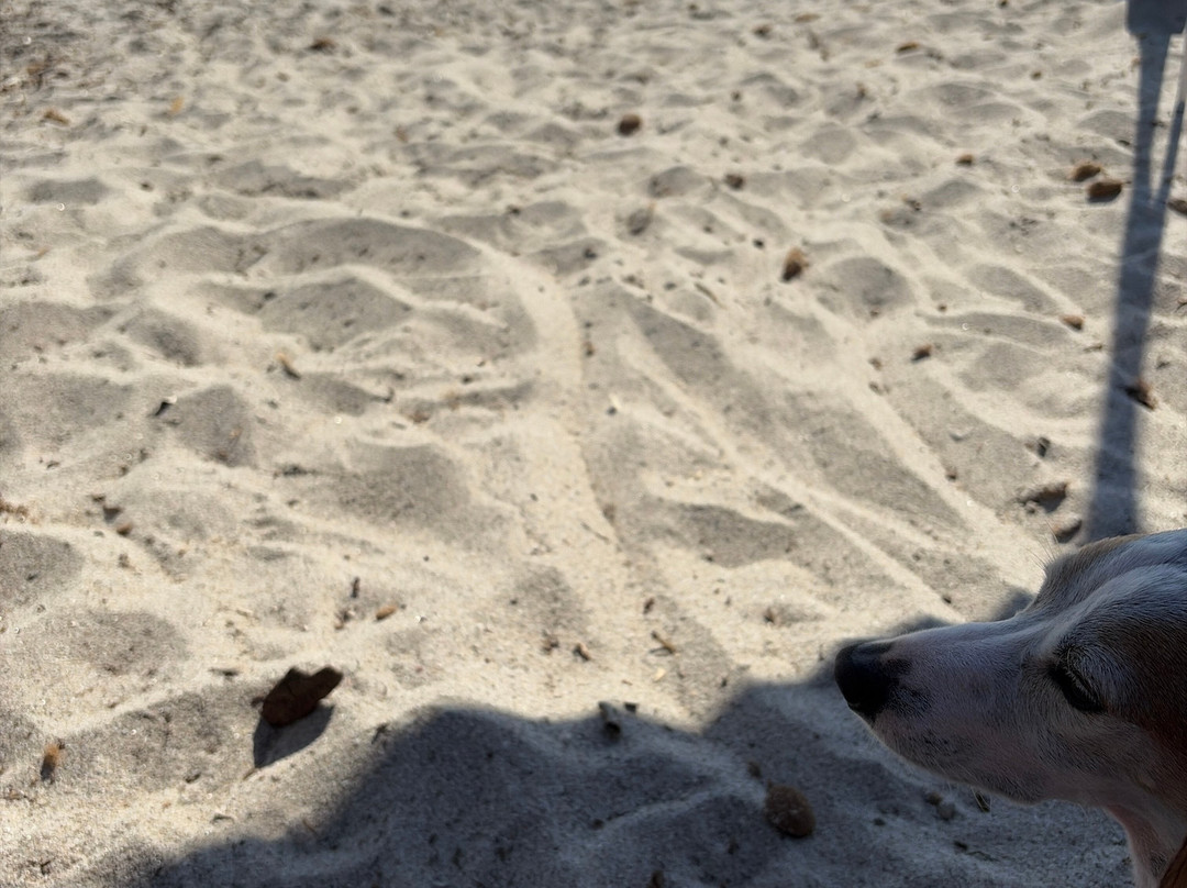 Spiaggia di Maria Pia-阿尔盖罗必去景点