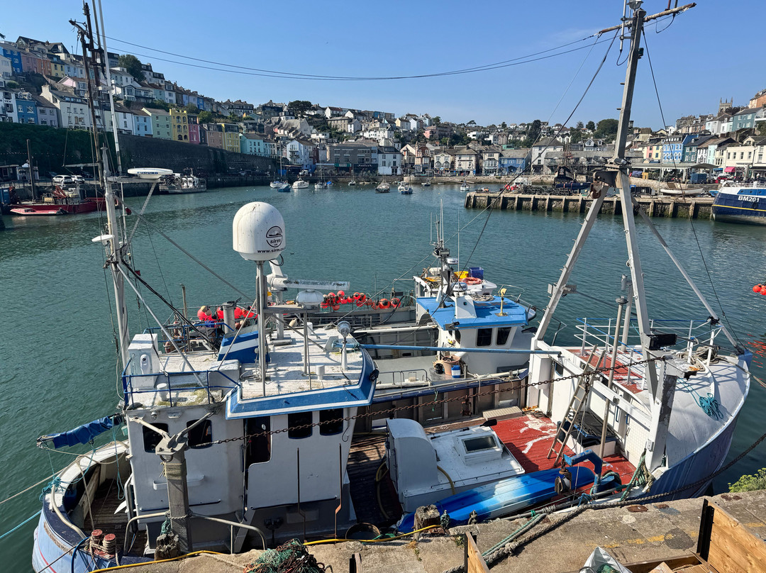 Brixham Harbour-布里克瑟姆必去景点