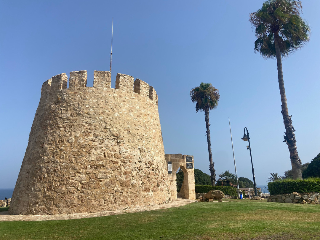 Torre del Moro-托雷维耶哈必去景点