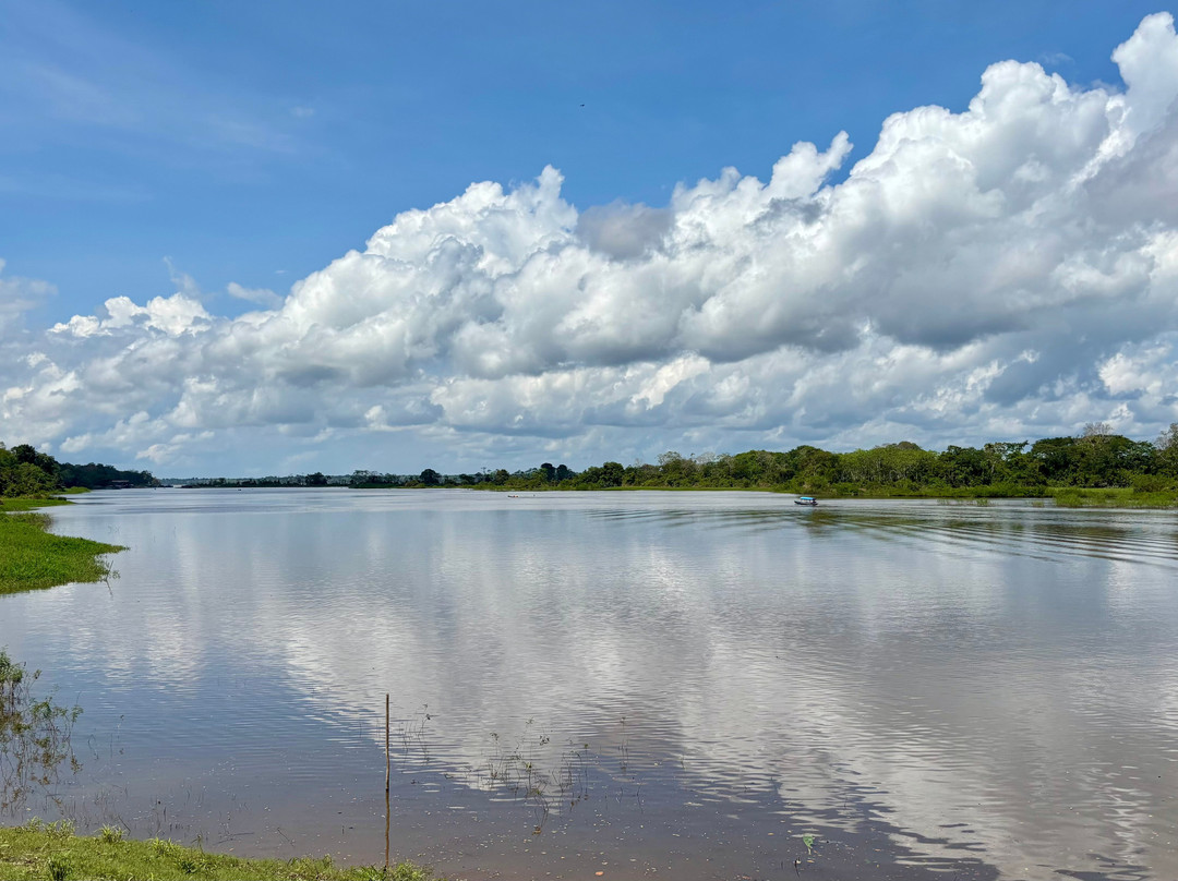 Naineku Amazon Trip Puerto Nariño-Puerto Narino必去景点