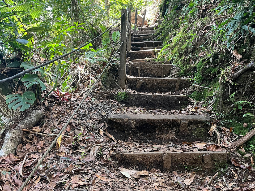 Tree Trek Boquete-波魁特必去景点