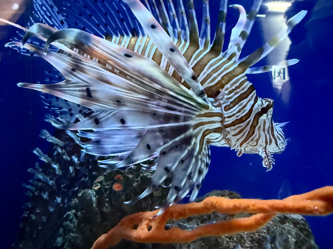 Acquario Del Salento-Santa Maria al Bagno必去景点