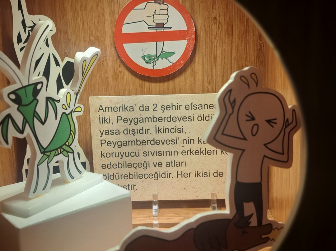 Konya Tropikal Kelebek Bahçesi-科尼亚必去景点