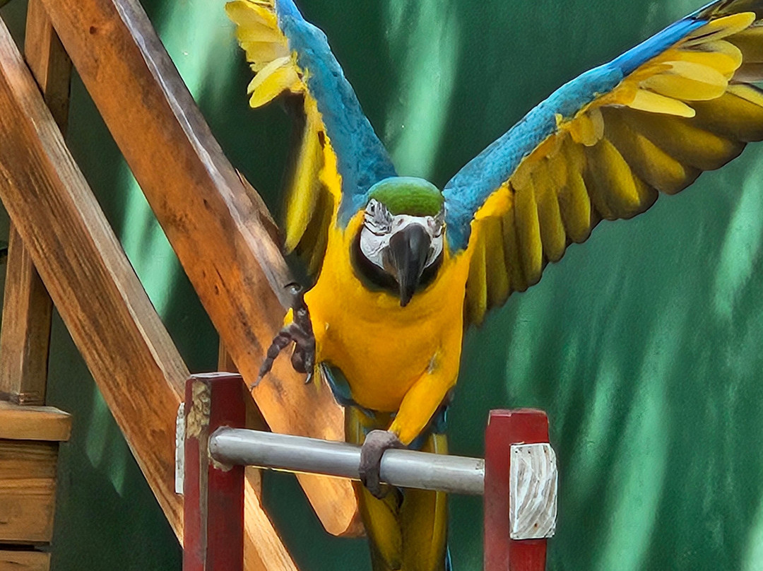 Ocean World Adventure Park, Puerto Plata-普拉塔港必去景点