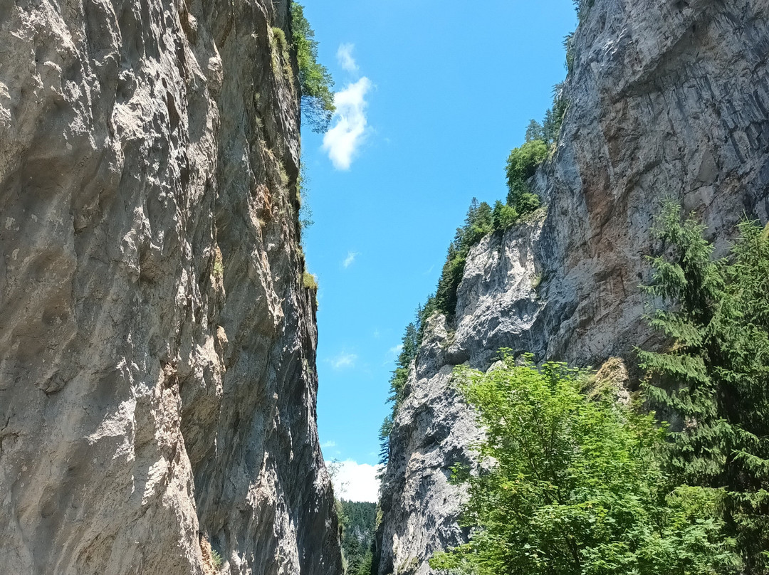 Rodope Mountains-Blagoevgrad Province必去景点