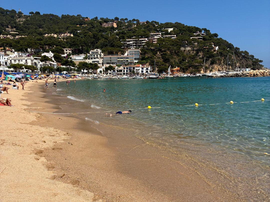 Playa De Llafranc-Llafranc必去景点