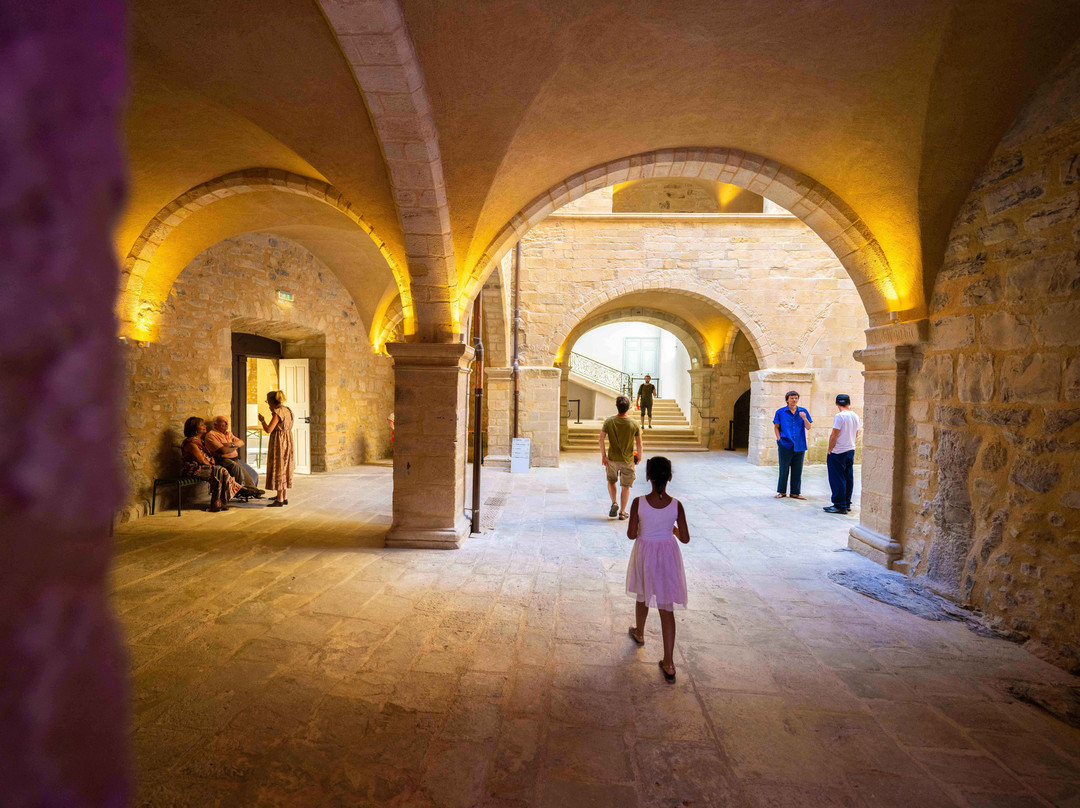 Chateau d'Aubenas-Aubenas必去景点