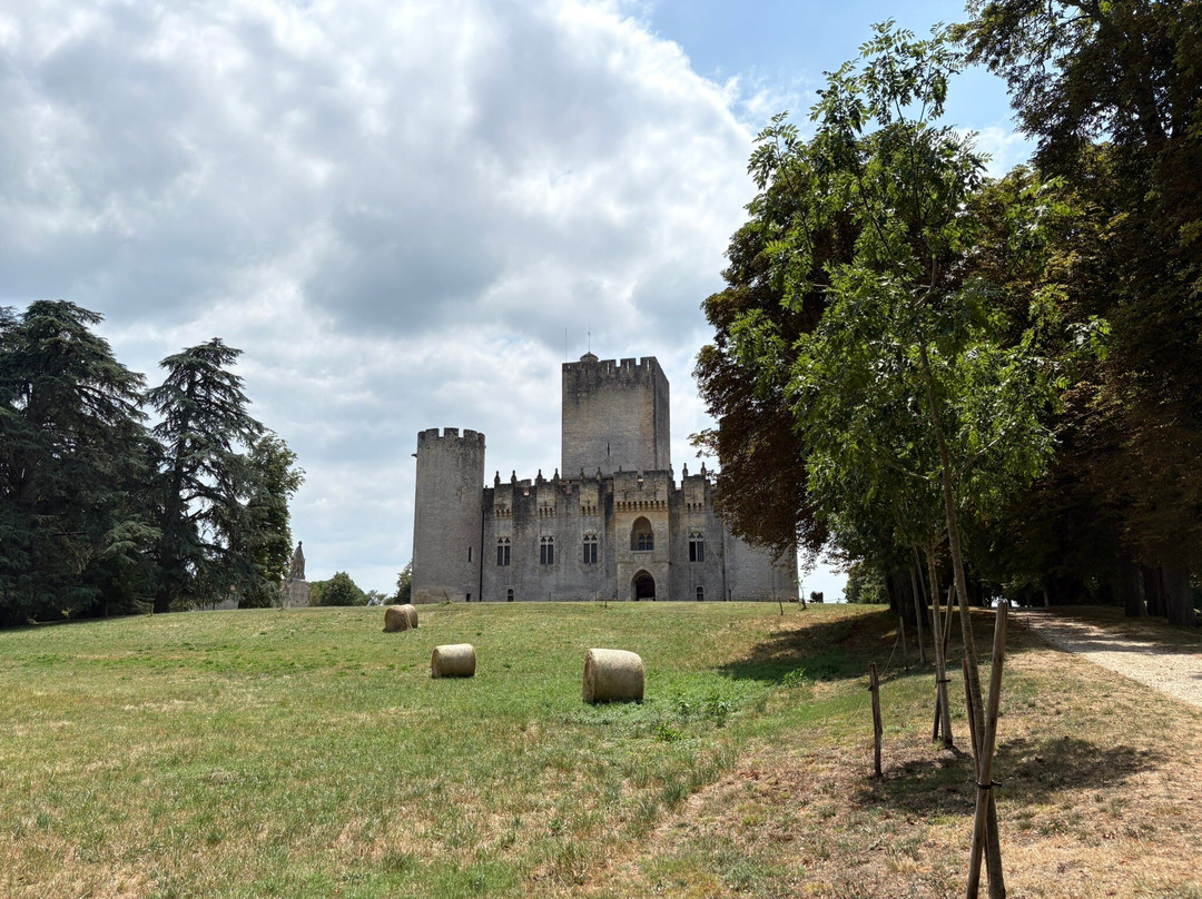 Chateau de Roquetaillade-Mazeres必去景点