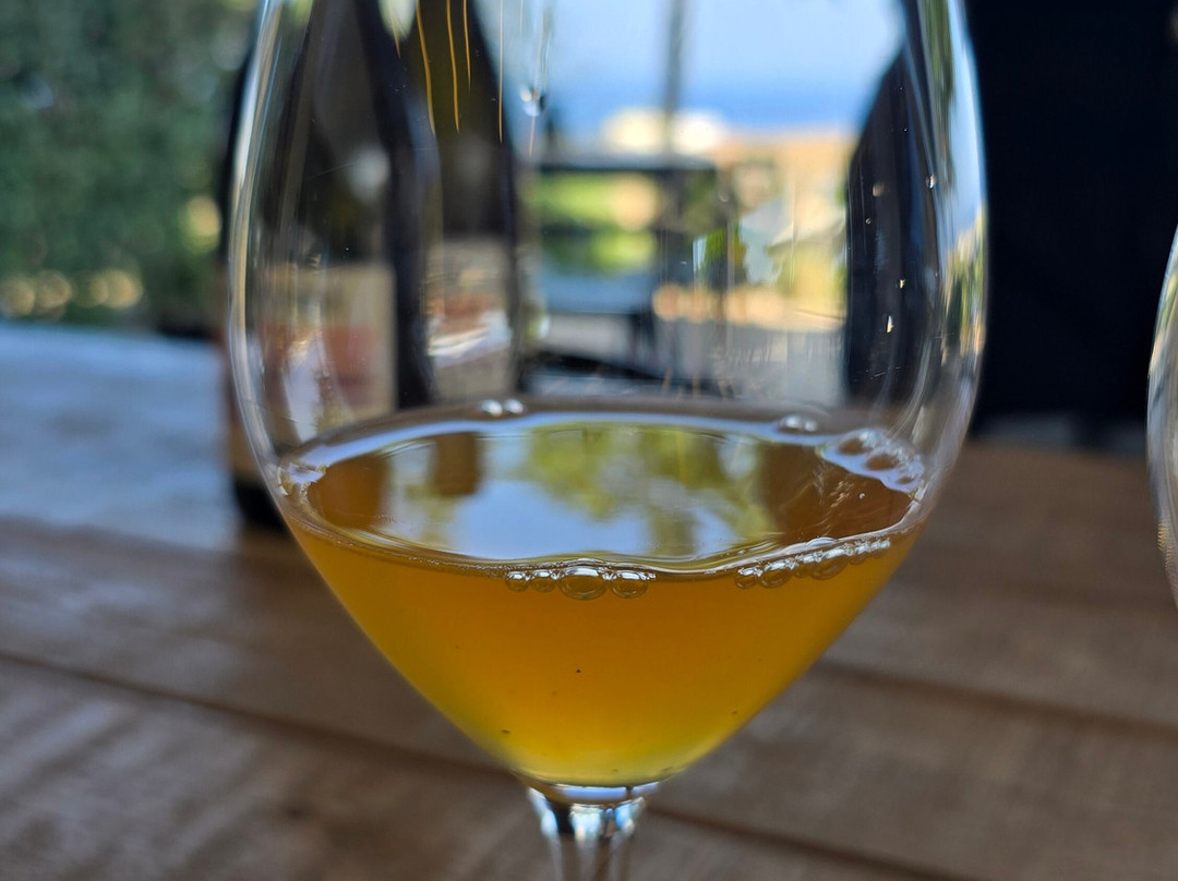 Vassaltis Vineyards-Vourvoulos必去景点