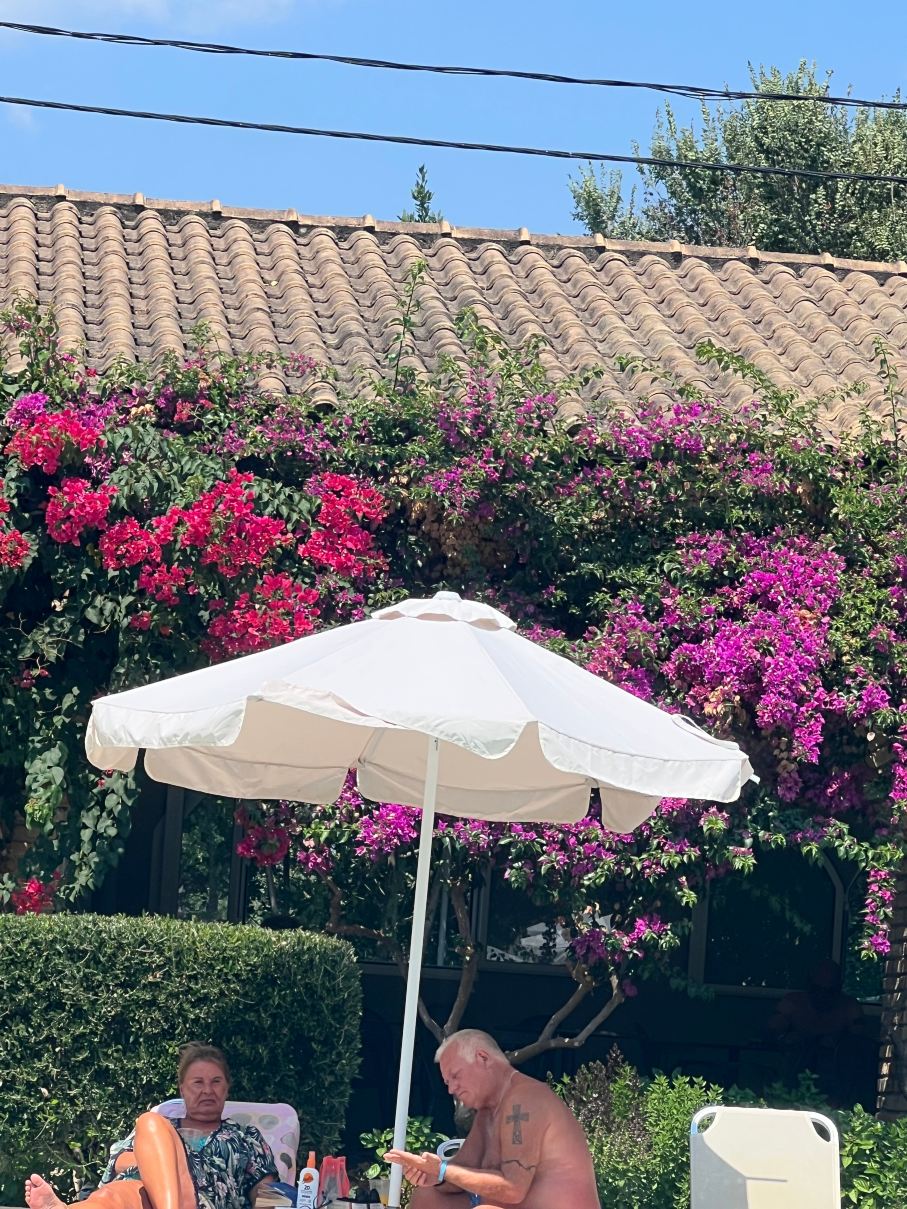 Amalia Hotel-旅行者