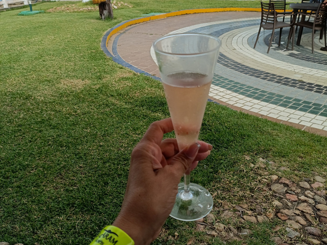 El Aram Beach Cabo - All Inclusive