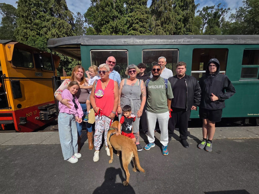 Welshpool and Llanfair Light Railway-Welshpool必去景点