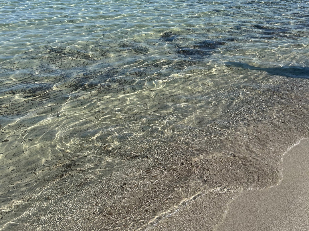 Spiaggia Grande-Calasetta必去景点