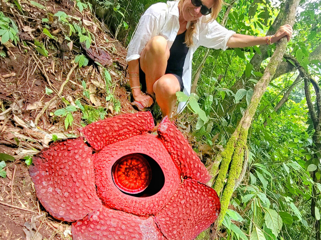 Batang Palupuh Nature Conservation Center (Rafflesia Park)-Palupuh必去景点